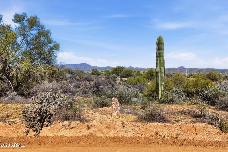 Beautiful Stone and Saguar on Loto