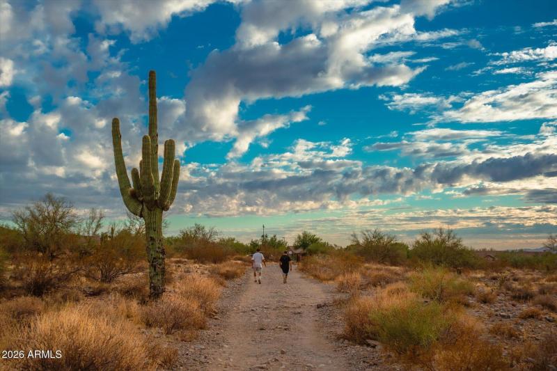 McDowell Sonoran Reserve