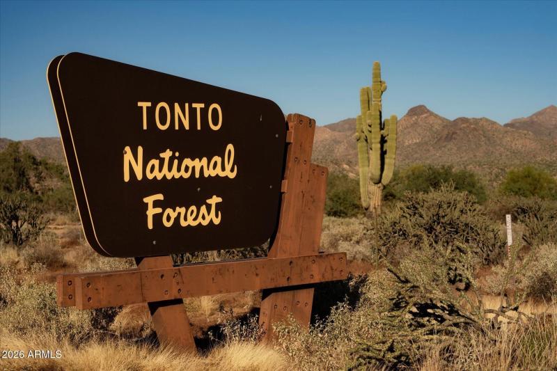 Tonto National Forest