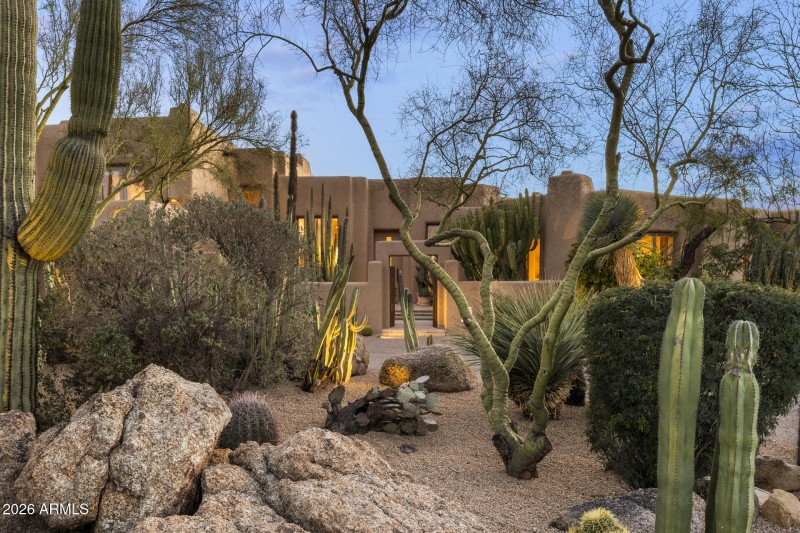 Lush Desert Landscaping