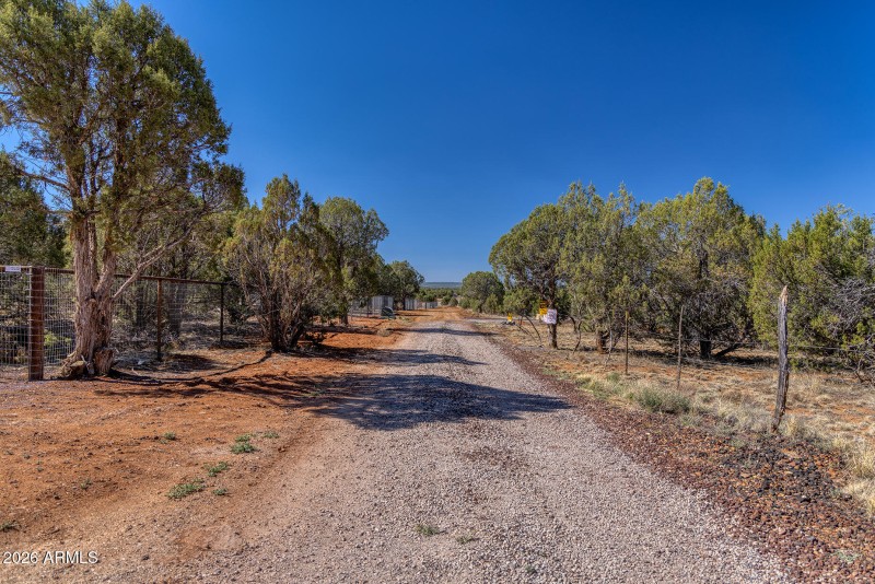 photo(5) Willis Bros Mgmt LLC Lindy 0521