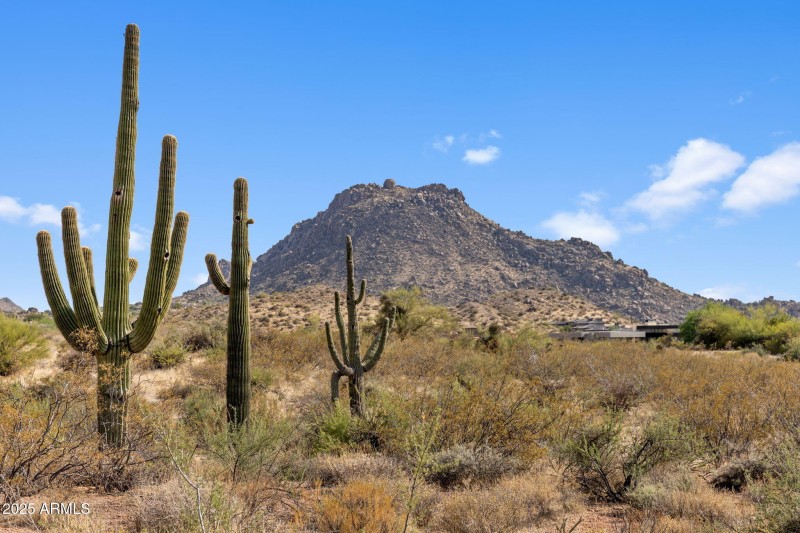 3-web-or-mls-IMG_1484