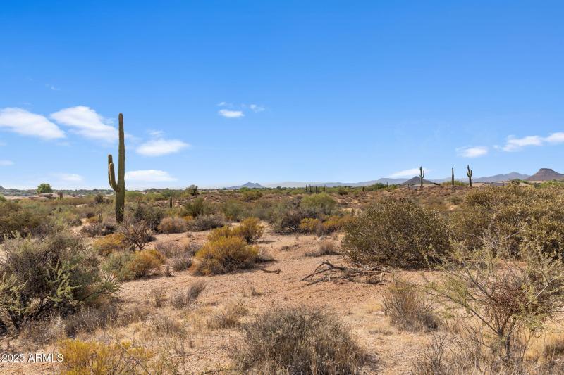 7-web-or-mls-IMG_1442