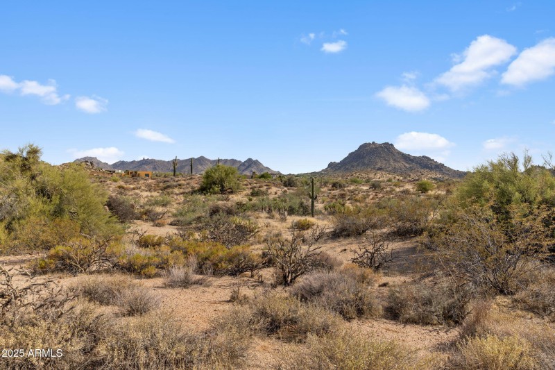 9-web-or-mls-IMG_1470