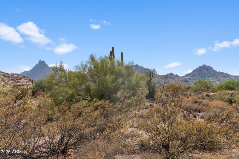 11-web-or-mls-IMG_1491