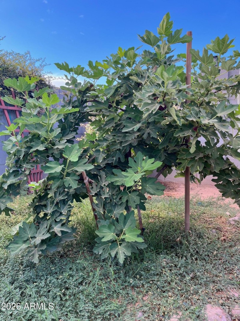 71855315375__D5089141-3CB8-4B79-B379-560