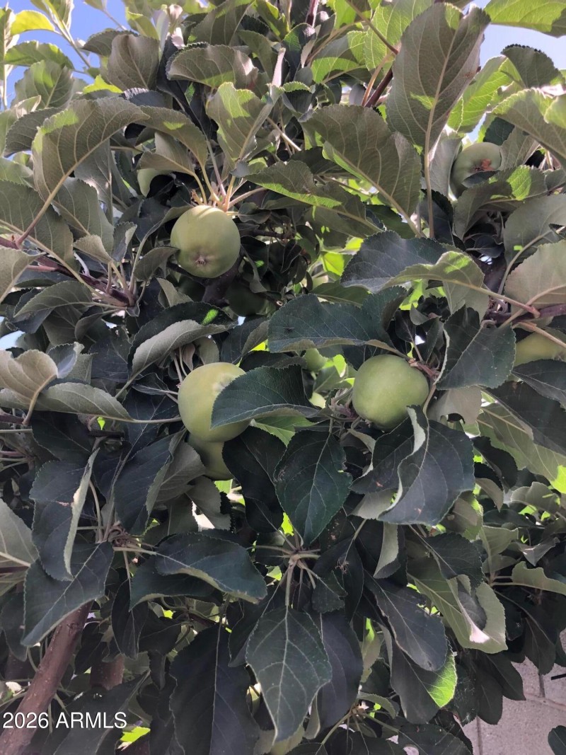 70465109256__AD8FD9A1-9FA8-487E-8428-EDD