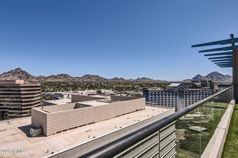 View from the Rooftop