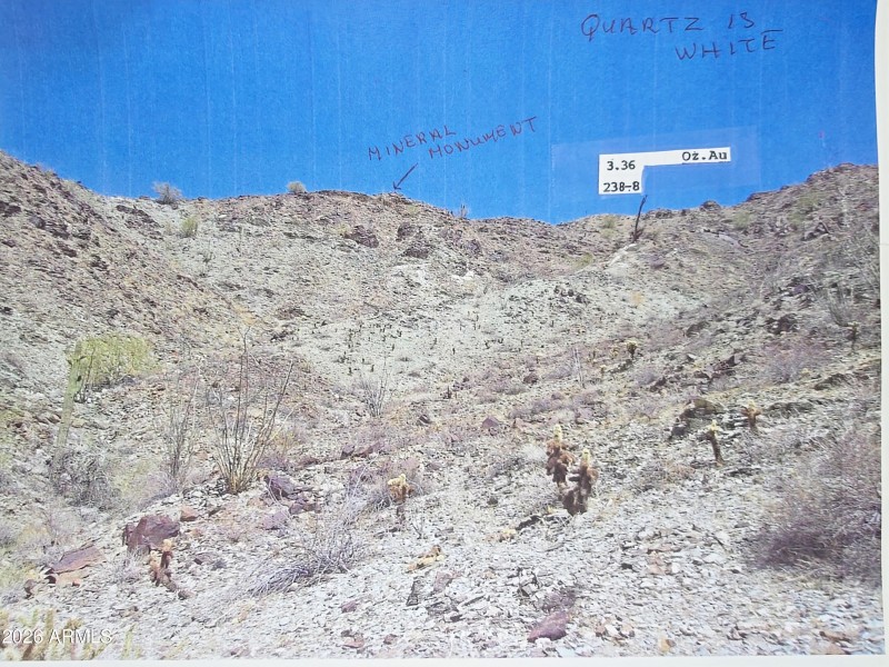 1771607500458-0f450217-2af5-4af1-91e3-d0