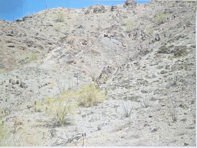 1771607618580-f7395ad7-b10d-4d1a-91f7-17