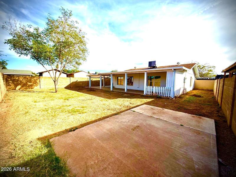 WhatsApp Image 2026-02-20 at 18.52.47