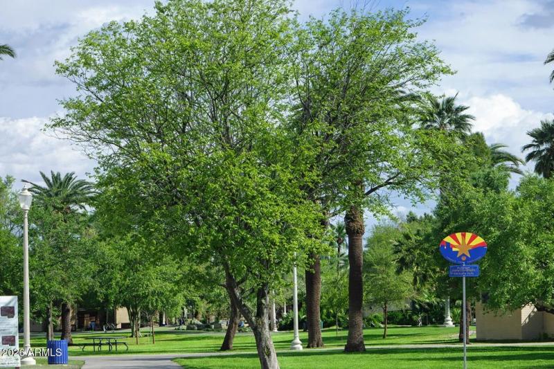 Encanto Park Across St