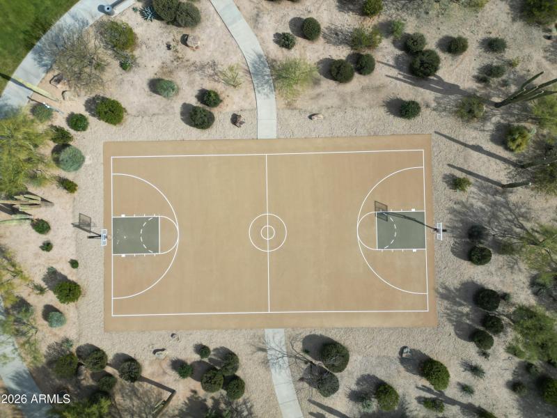 Basketball / Sport Court