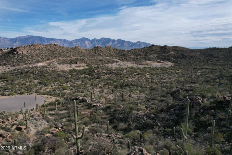 Photo Jan 22 2026, 14 55 07