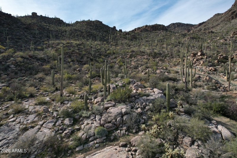 Photo Jan 22 2026, 14 57 26