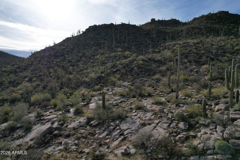 Photo Jan 22 2026, 14 57 34