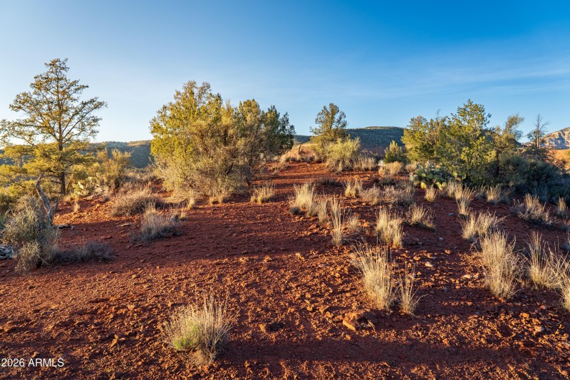 JL_500SmokeTrail-ground-12