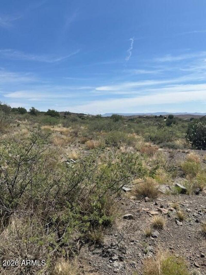 Wide Open. Wildly Beautiful.