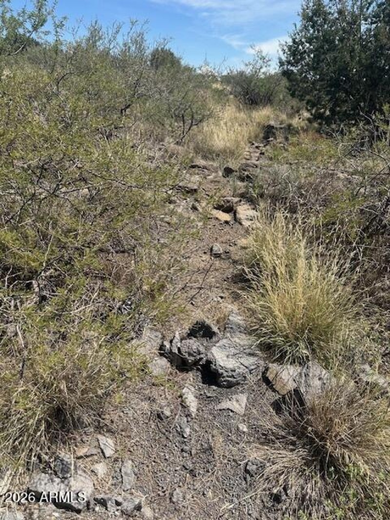 Room to Roam, Room to Rise.