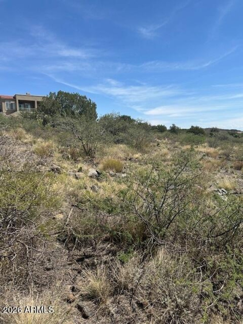 High Desert Dreamscape