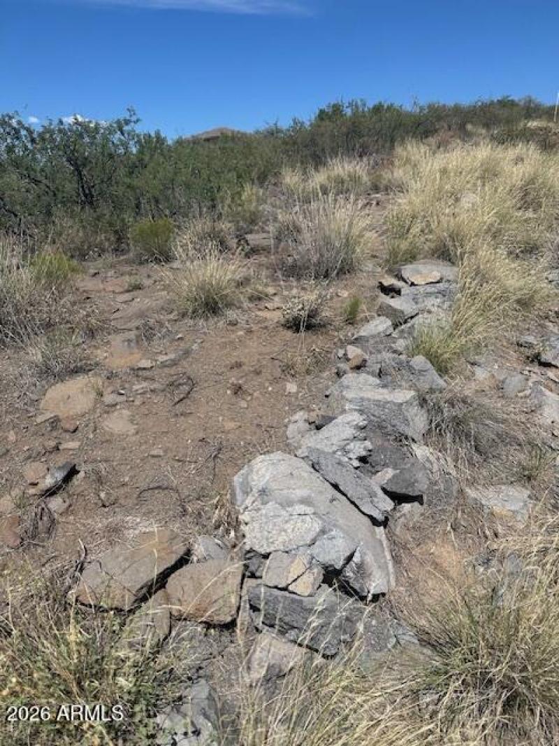 The West at Its Best