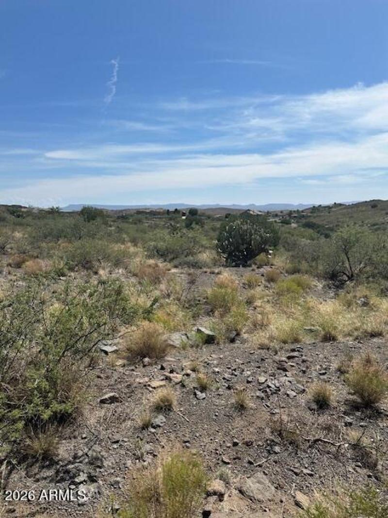 Peace and Possibilities