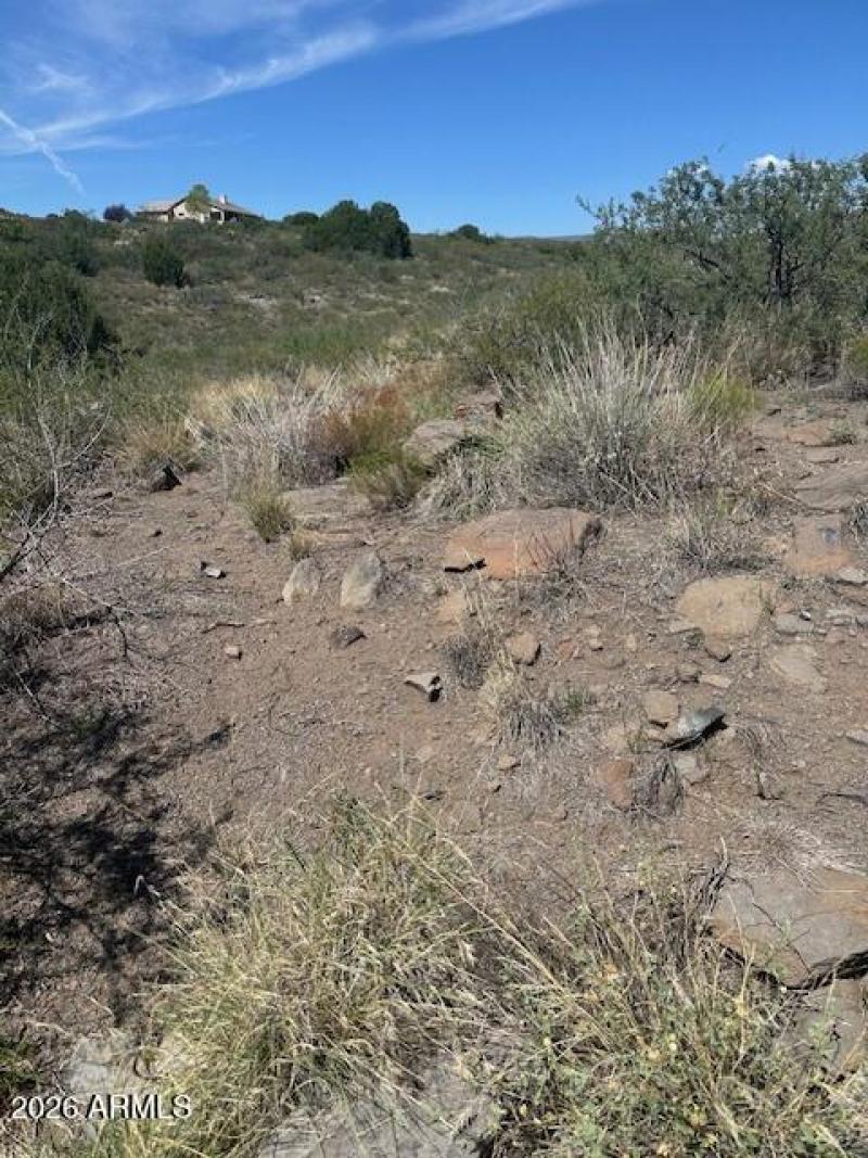 Sun Drenched Desert Escape