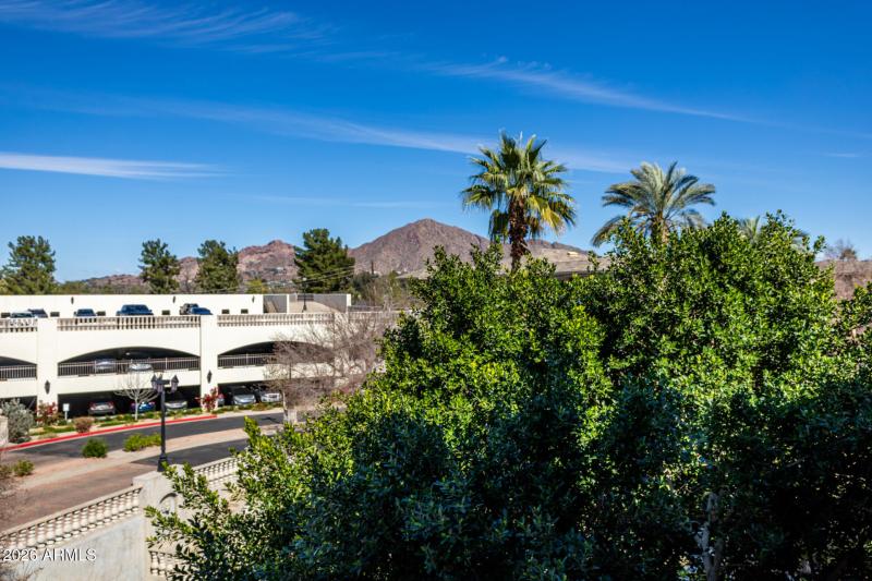 From Balcony & Living Room View