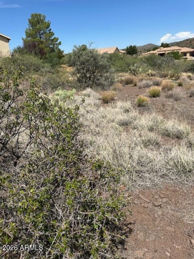 Escape to Open Space