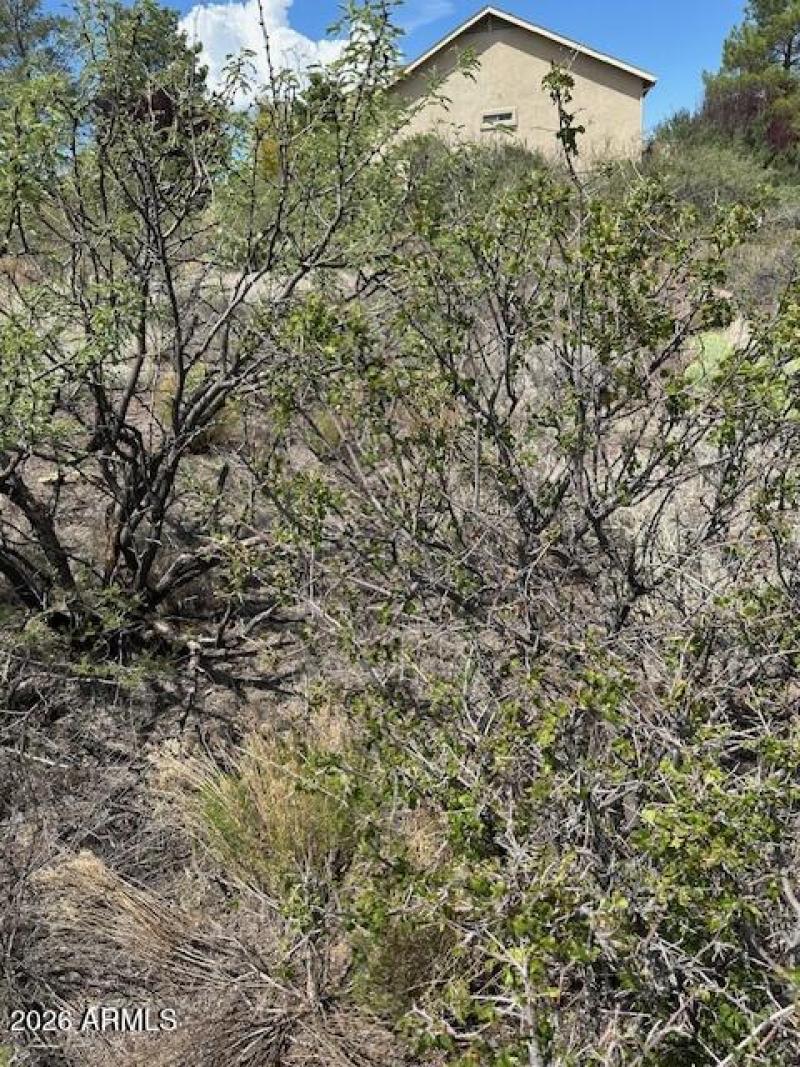 High Desert. Higher Potential