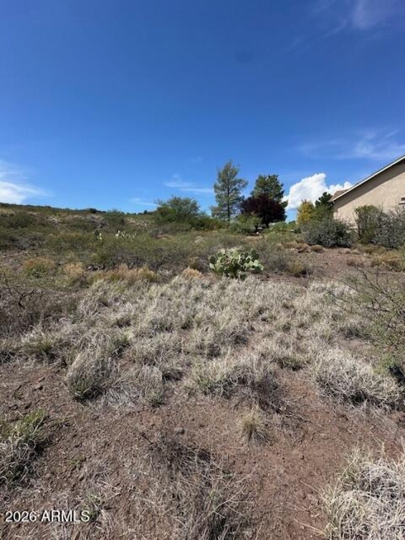 Blue Skies. Bright Futures