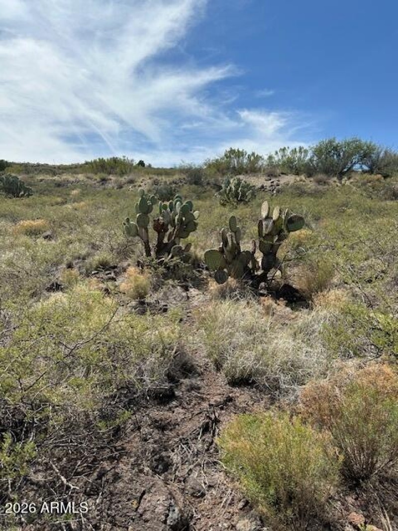 Serenity in Every Sunrise