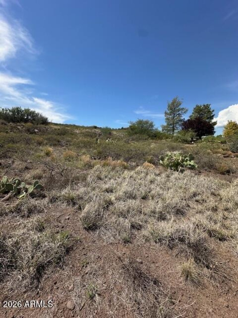 Nature is Your Neighbor