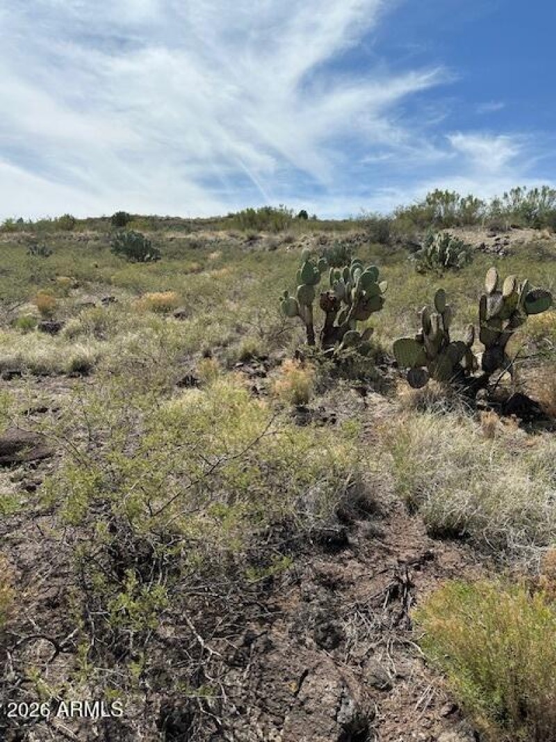 High Desert Dreamscape
