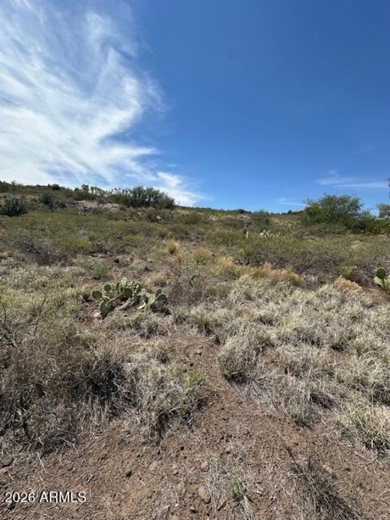 A View Worth Building On