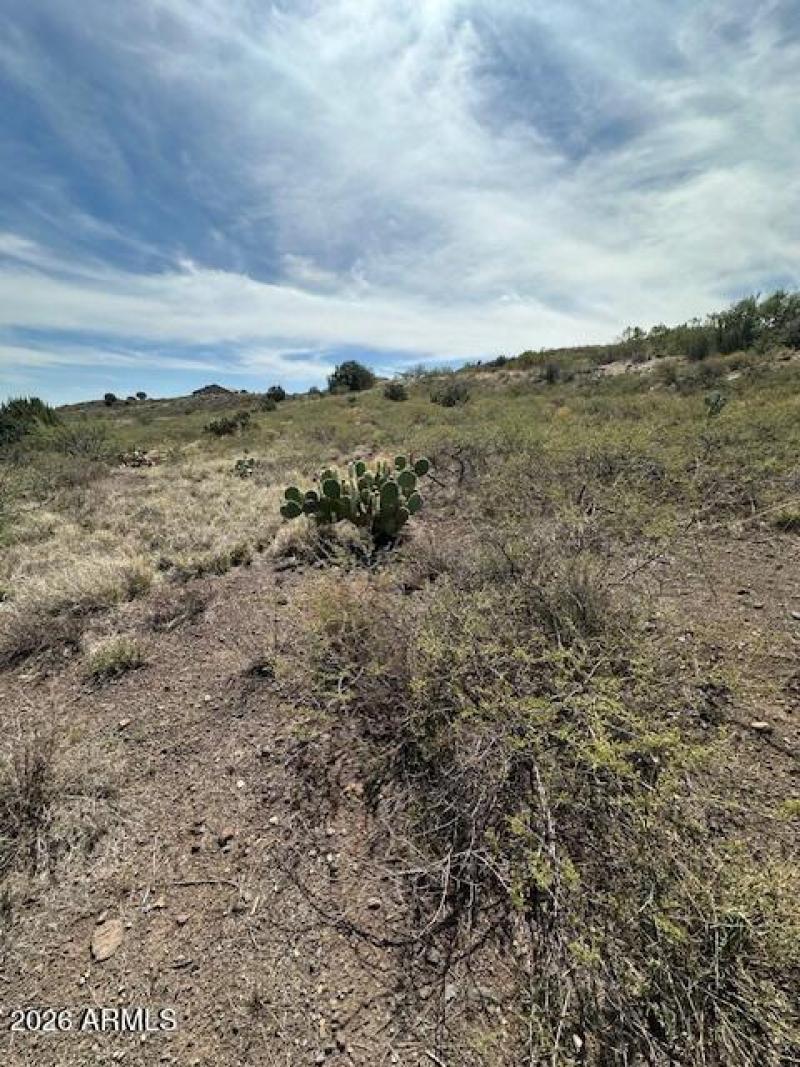 Where the West Begins