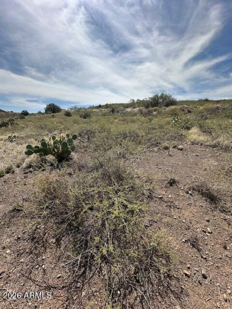 Claim Your Piece of Sky