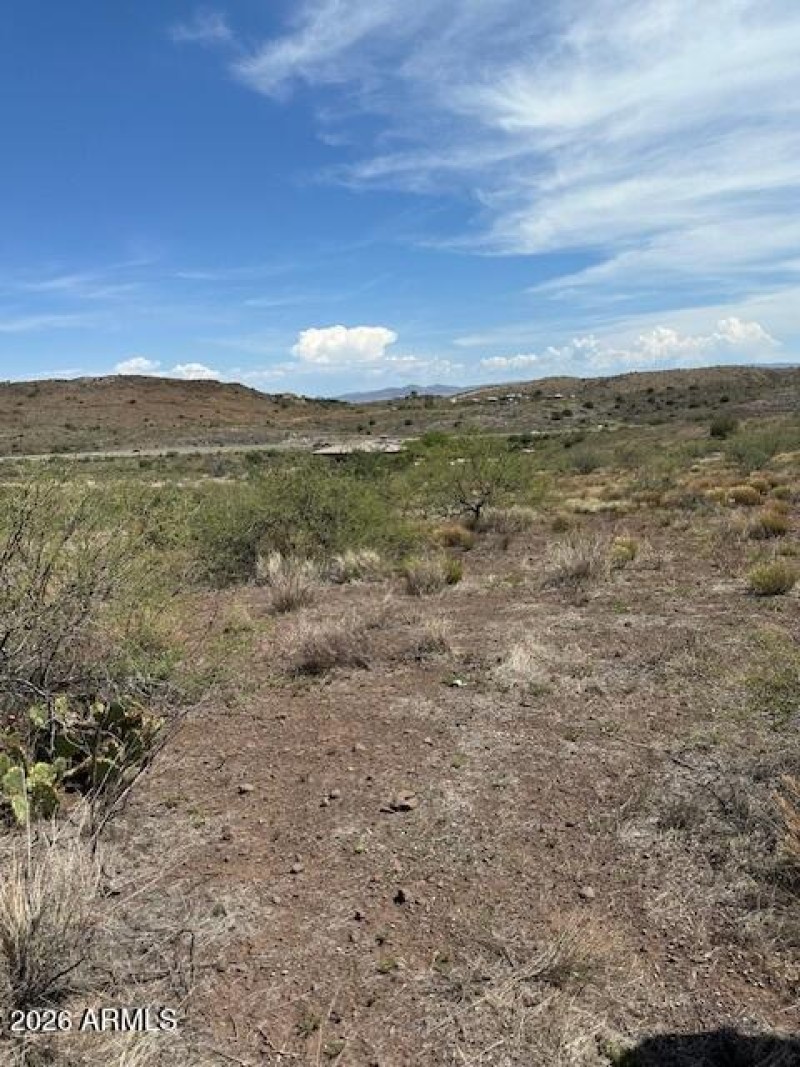 Desert Beauty. Mountain Backdrop