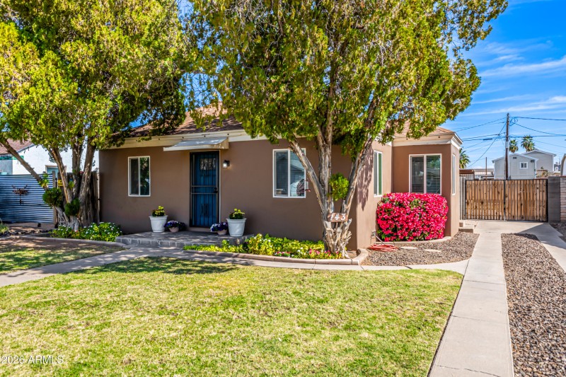 FRONT ANGLED AND CLOSE-UP