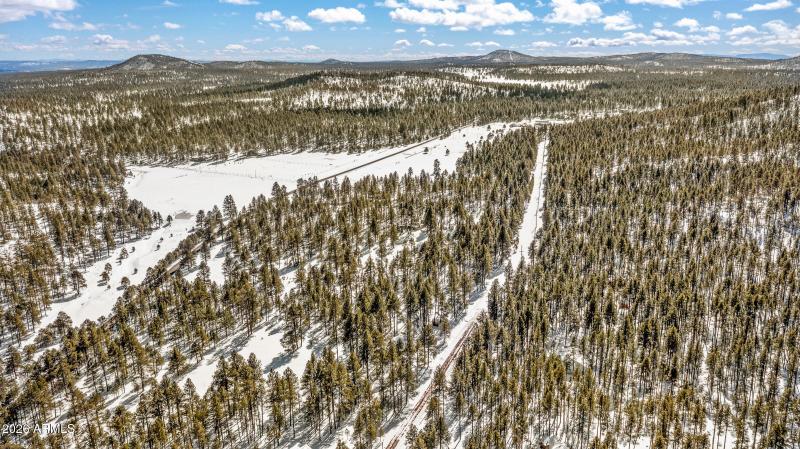 2175 S Eagle Creek Ln Williams-1