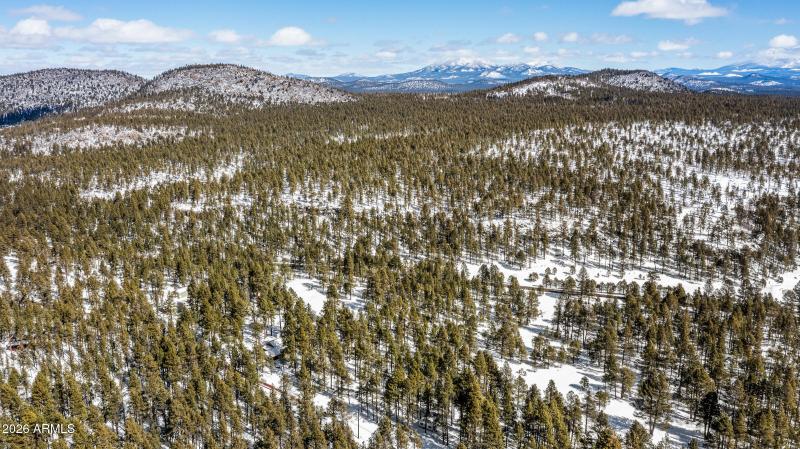 2175 S Eagle Creek Ln Williams-6