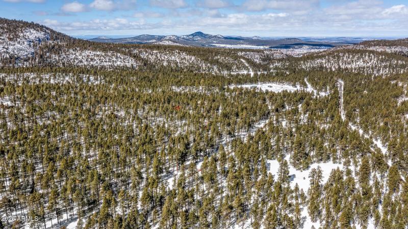 2175 S Eagle Creek Ln Williams-8