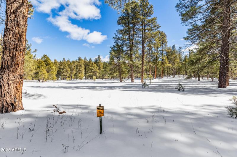 2175 S Eagle Creek Ln Williams-40