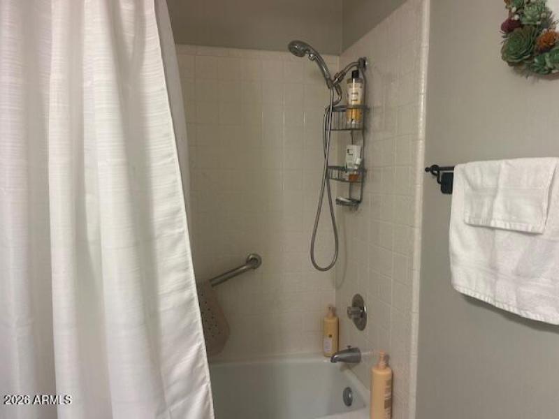Main bath shower