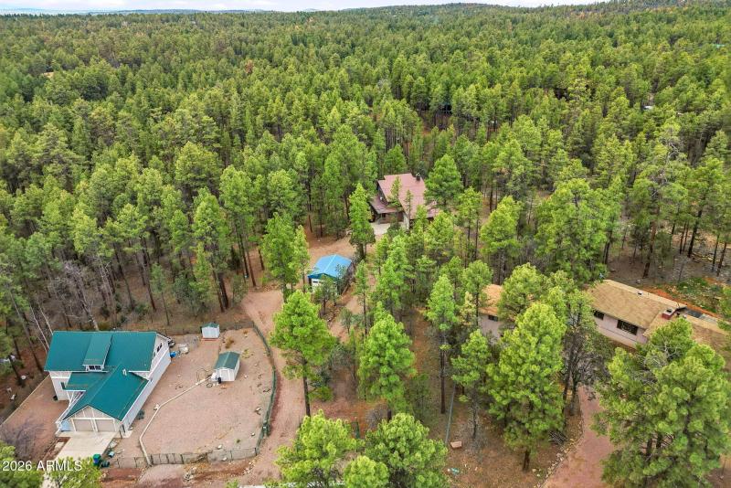 1041WhiteTailDr-ShowLow-AZ-45