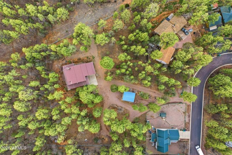 1041WhiteTailDr-ShowLow-AZ-46