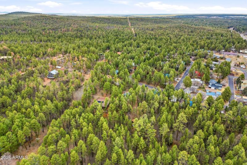 1041WhiteTailDr-ShowLow-AZ-49