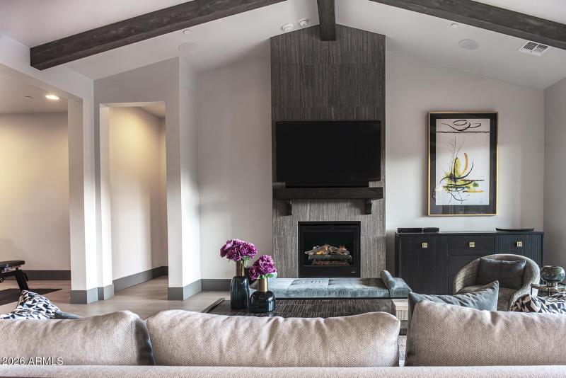 3 LIVING RM FIREPL (1)