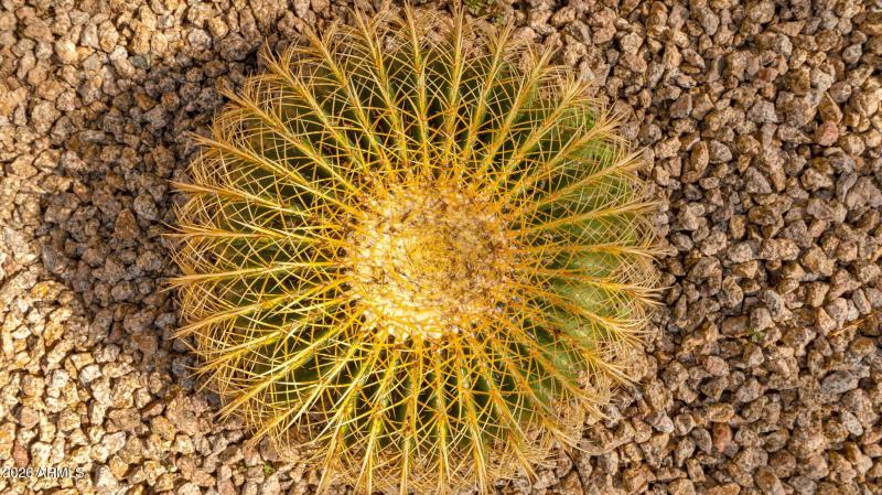 20-web-or-mls-P1464145