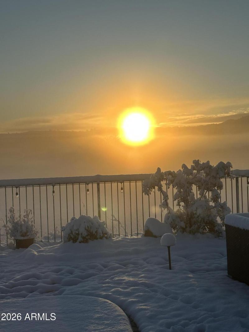 5373 AUTUMN LEAF SNOW